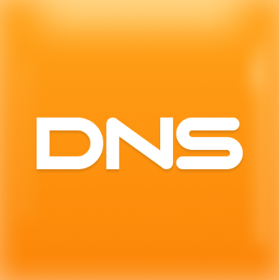 DNS logo